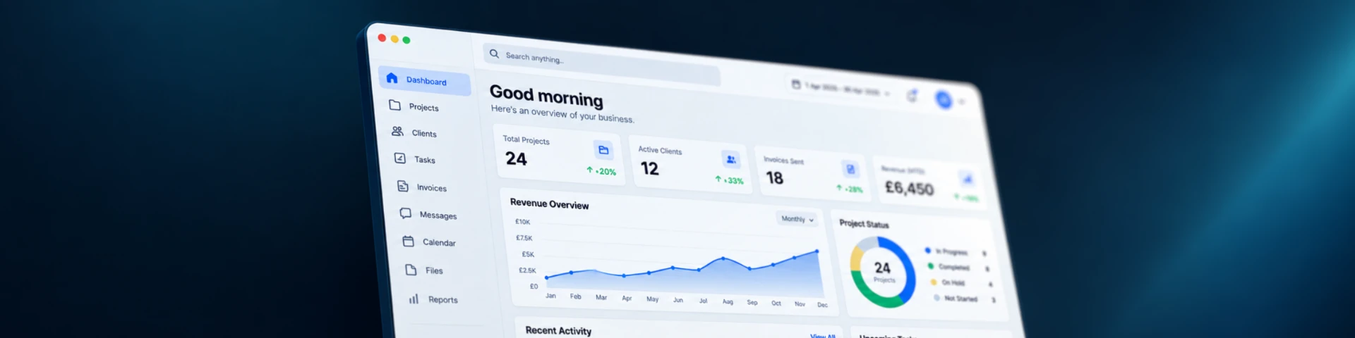 Custom software dashboard showing projects, clients and revenue overview